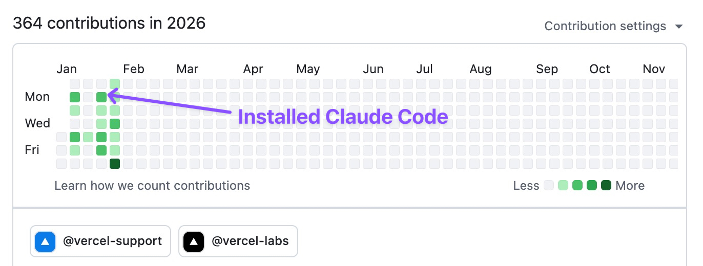 Pauline's GitHub contribution graph showing increased activity using AI tools