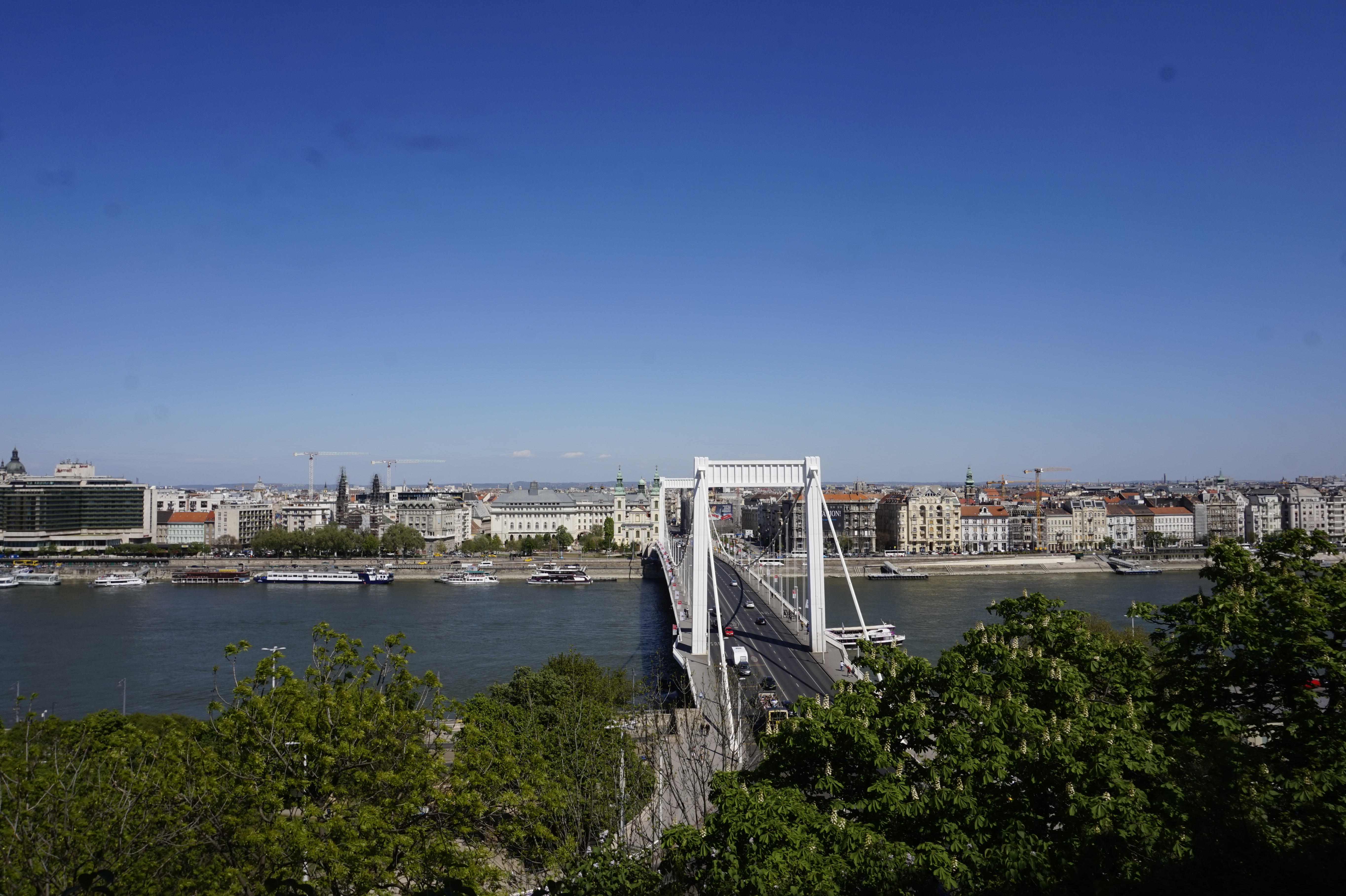 First few flight of steps going to Gellért Hill