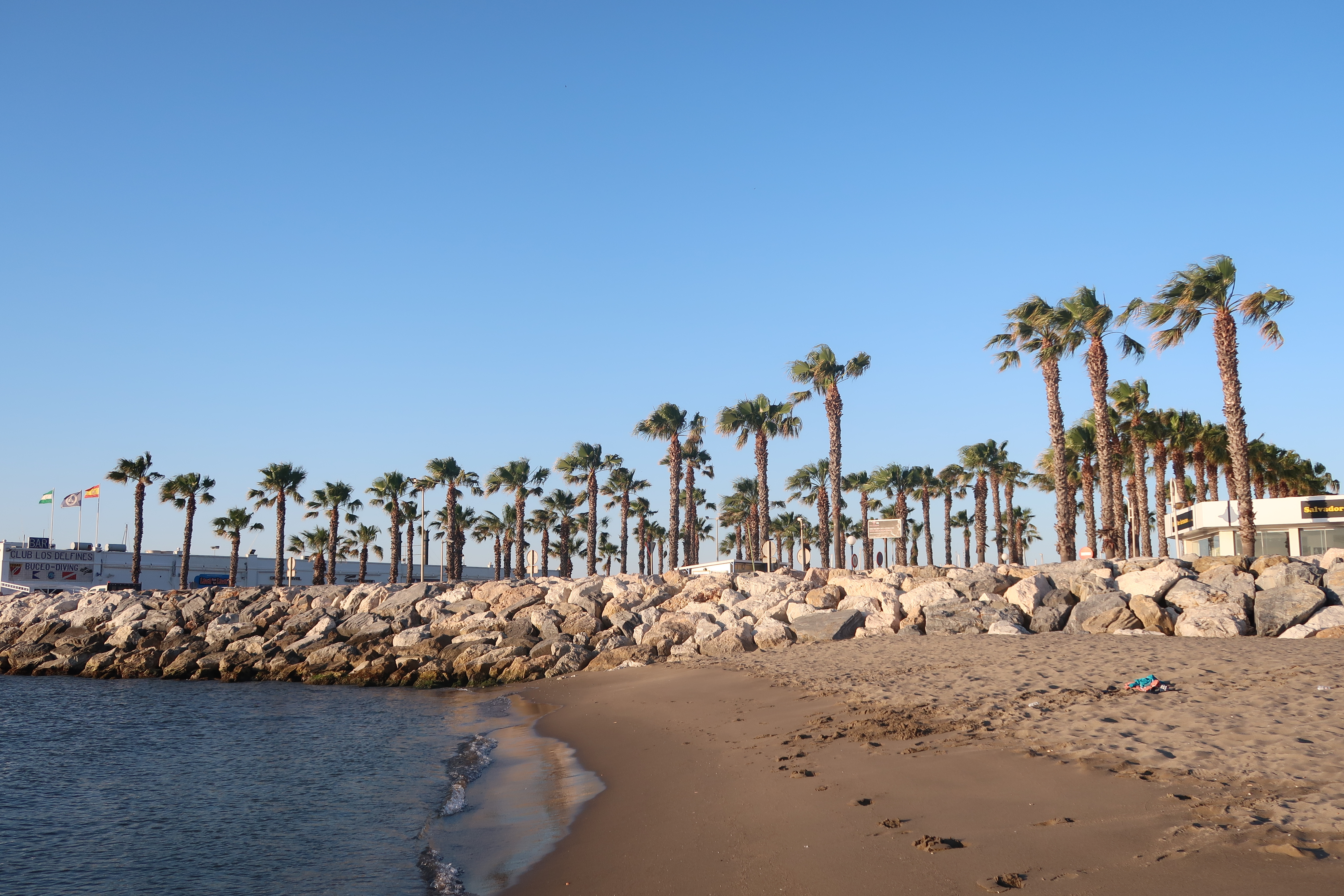 The beach early in the morning